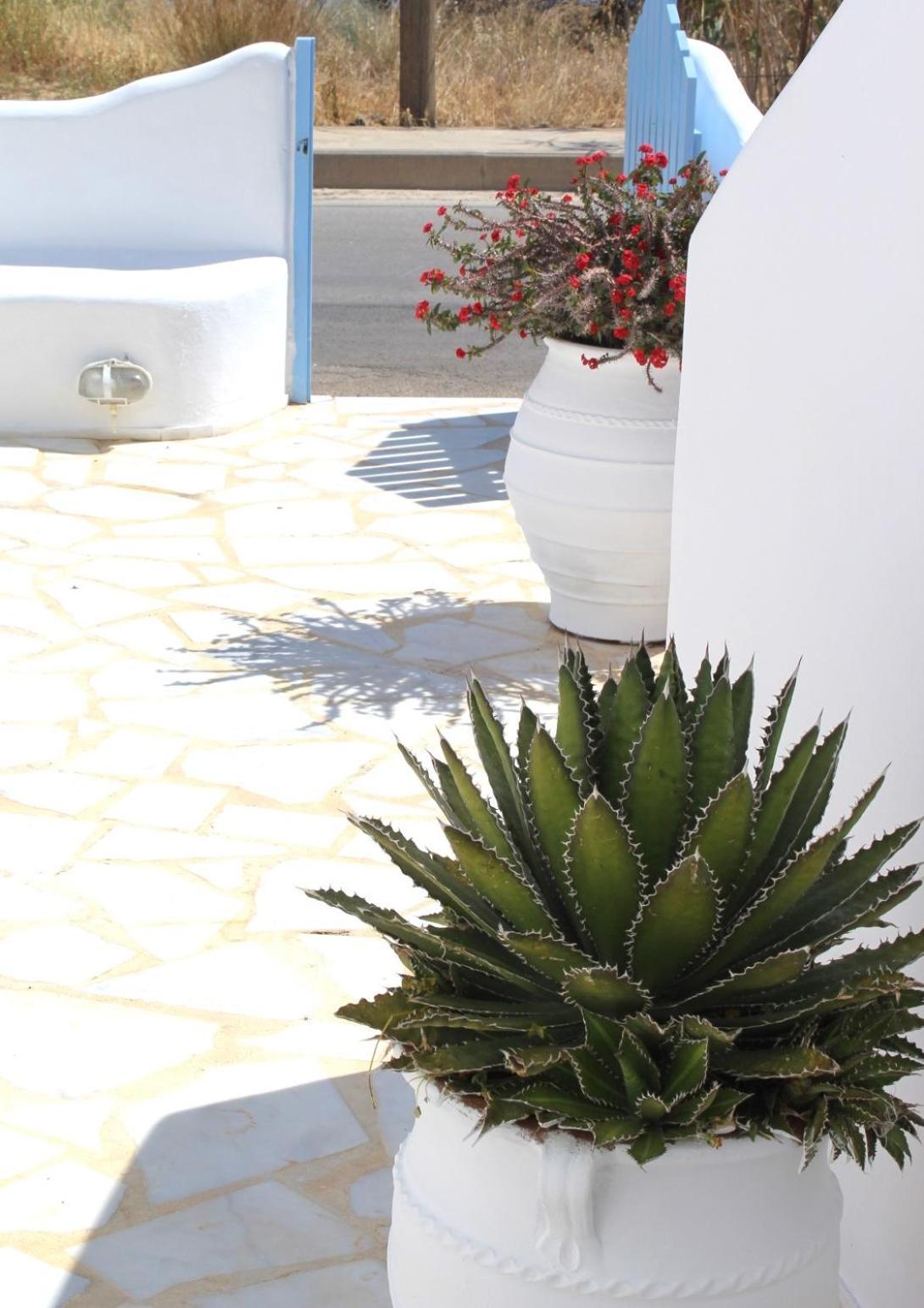 Blue Sea Villa & Apartments Makrýgialos 外观 照片