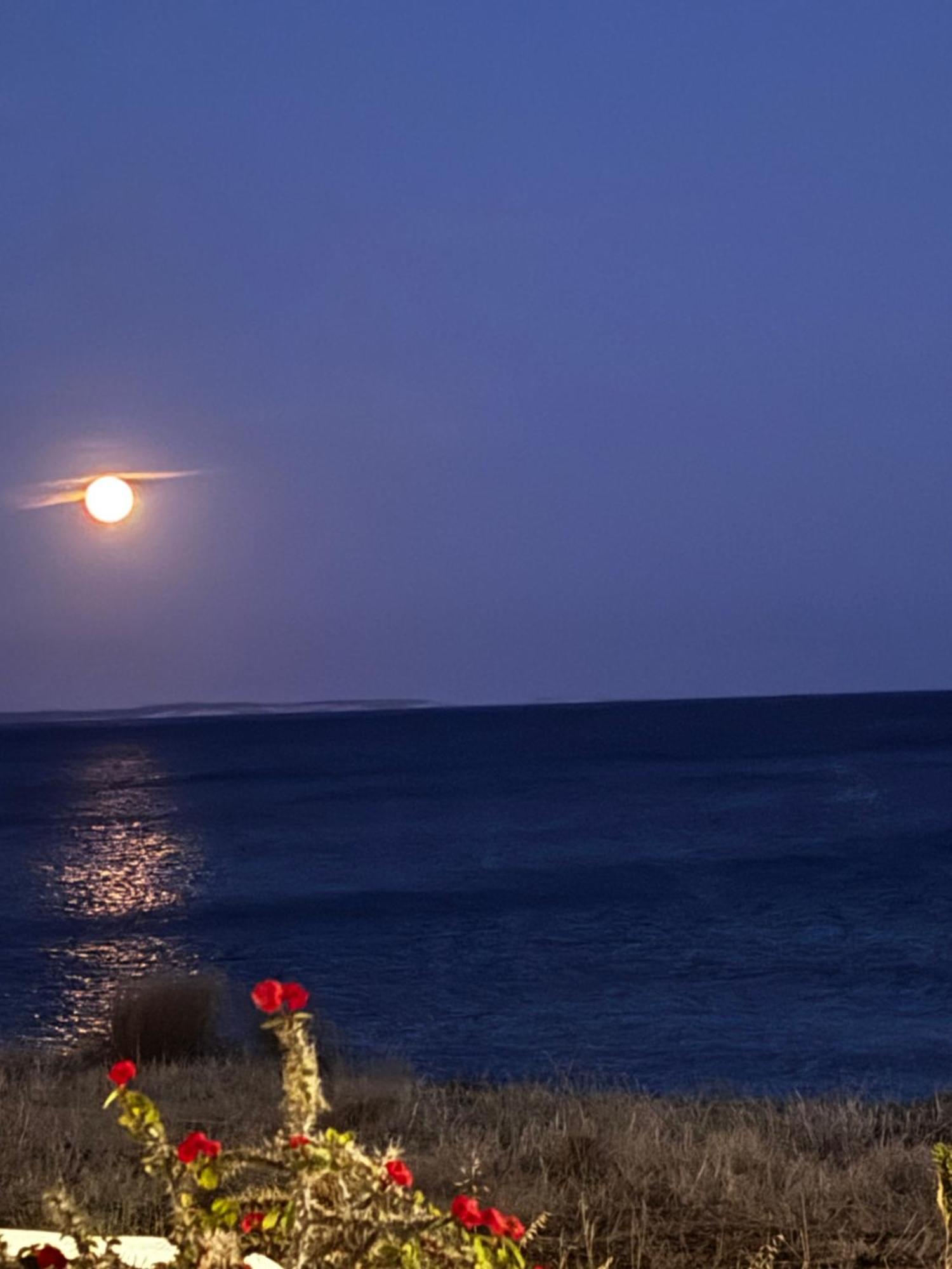 Blue Sea Villa & Apartments Makrýgialos 外观 照片